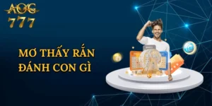 Mơ Thấy Rắn Đánh Con Gì